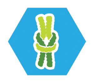 Insigne knopen