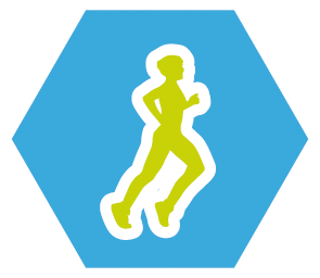 Insigne sport
