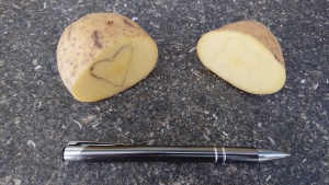 Teken met een pen een leuke maar gemakkelijke vorm op de aardappel