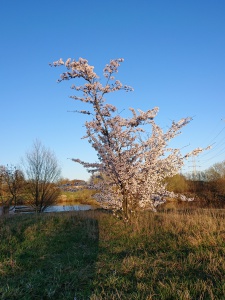 Het is weer lente!